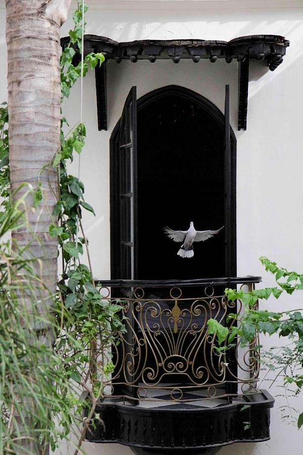 Riad Dar Jaguar Marrakesh Esterno foto